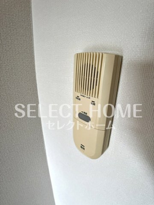  | ロイヤルサルビア