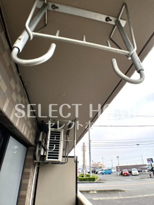  | ロイヤルサルビア