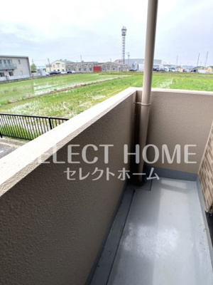  | ロイヤルサルビア