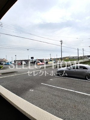  | ロイヤルサルビア