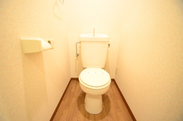 大阪市住吉区南住吉１丁目の賃貸マンションのトイレ|清潔感のあるトイレです