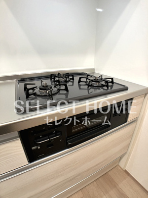  | ＴＨ－Ｍａｉｓｏｎ岡崎大樹寺(ティーメゾンオカザキダイジュウジ)