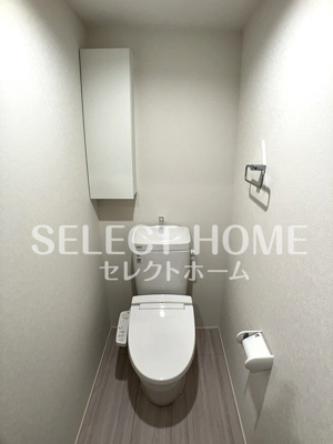 【トイレ】 | ＴＨ－Ｍａｉｓｏｎ岡崎大樹寺(ティーメゾンオカザキダイジュウジ) | トイレも気になるポイント