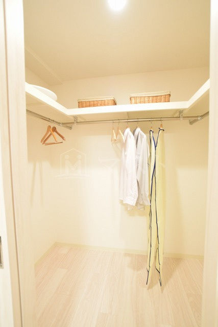 プレジオテンマの収納