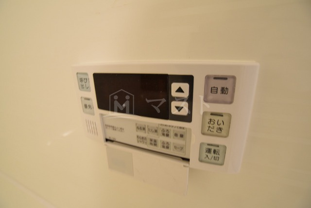 プレジオテンマのその他