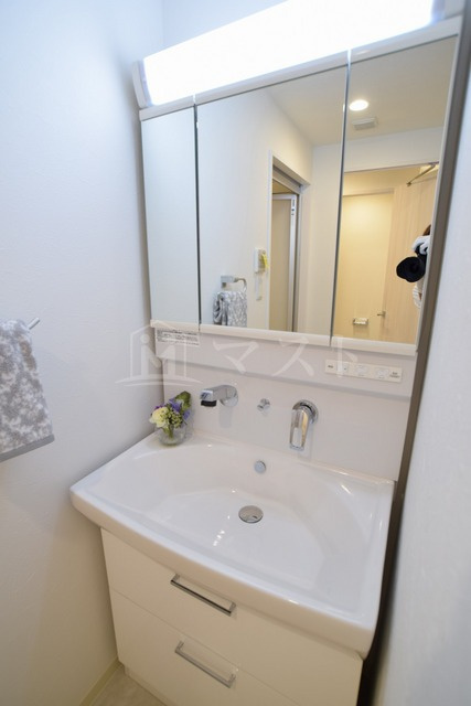 プレジオテンマの洗面所