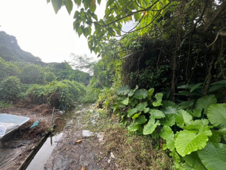  | 南風原町与那覇土地