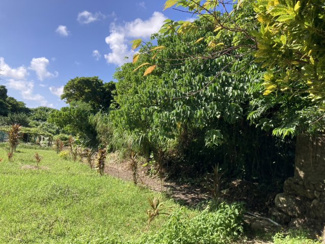  | 南風原町与那覇土地