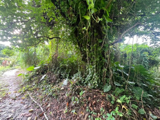  | 南風原町与那覇土地