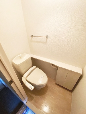 フォレストコート逆瀬川（サカセガワ）のトイレ|トイレも気になるポイント
