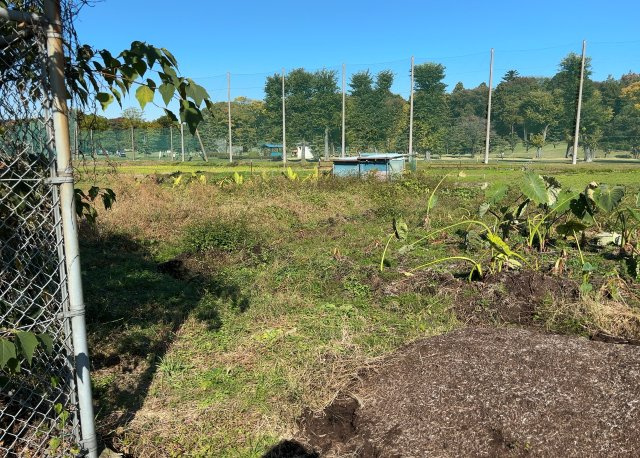 【外観】 | 現地に行くなら、物件の周囲の地形がどうなっているかを見ることも大切です。周辺より低くなっている土地では、大雨などで水が集まりやすいため、地盤が弱くなっているということも考えられるため、注意が必要です。