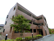 ラディアントの画像