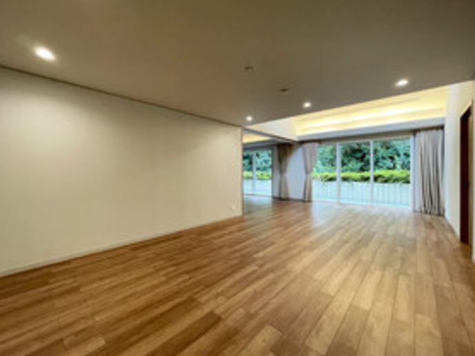 港区南麻布４丁目の賃貸マンションのその他|リビング