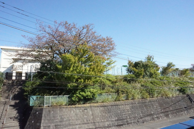 景色です