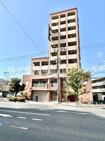 エクセレント上新13