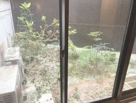 コスモリード今出川の庭