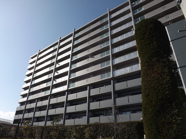レックス・フェスタ野洲の外観