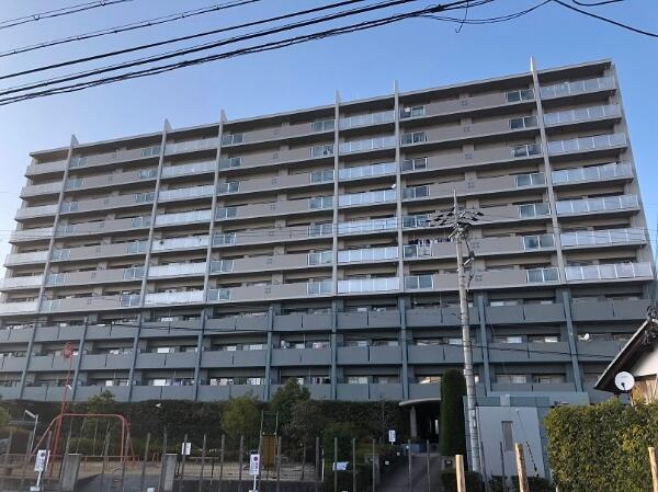 レックス・フェスタ野洲の外観