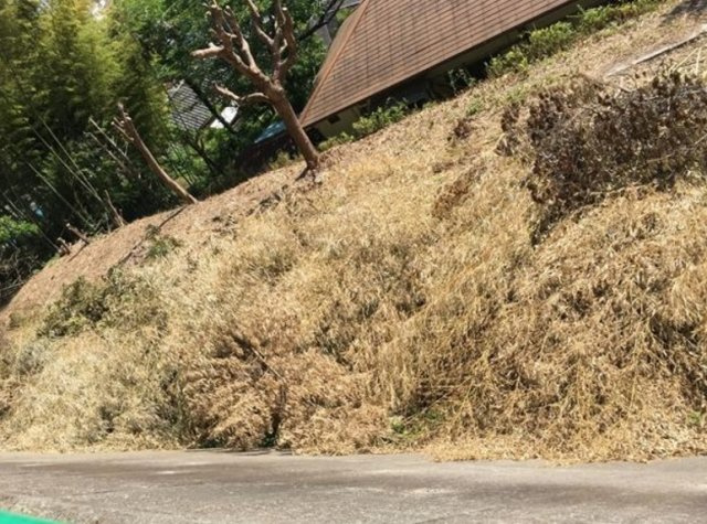 塩屋町３丁目　土地の展望