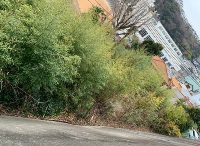 塩屋町３丁目　土地の展望
