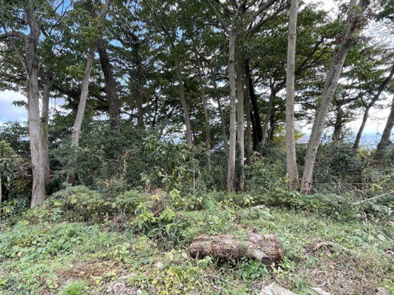 【外観】 | 大室高原別荘地　売地