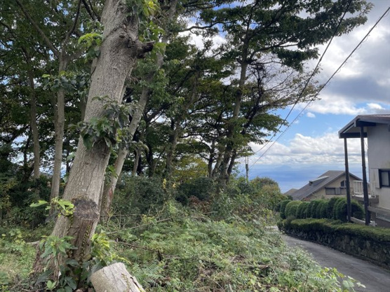 【展望】 | 大室高原別荘地　売地