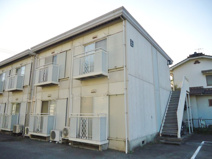 サンライズホワイトBの画像