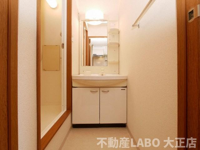 プルミエール住之江の洗面所