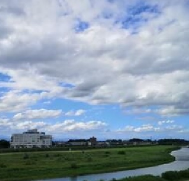 小山市八幡町1丁目　貸店舗の周辺