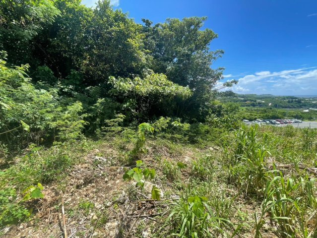 【売地】八重瀬町新城－１区画のその他