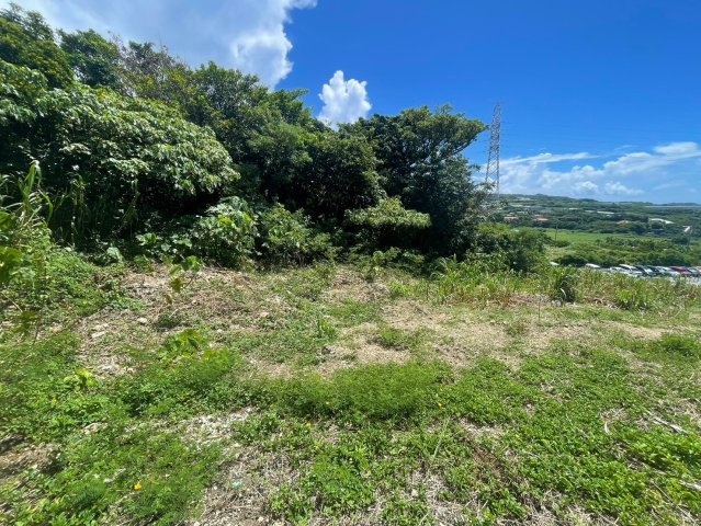 【売地】八重瀬町新城－１区画のその他