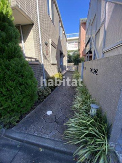 【エントランス】 | 通路には植栽されています