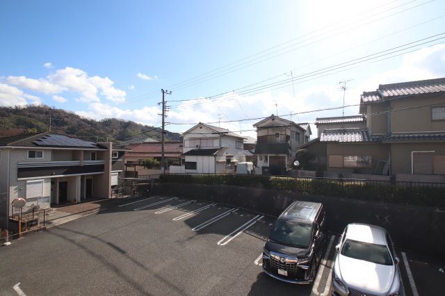 【展望】 | プラシード