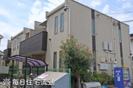 フリージアの画像