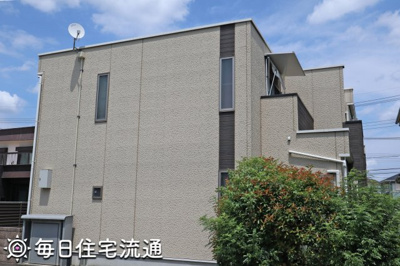 【展望】 | フリージア