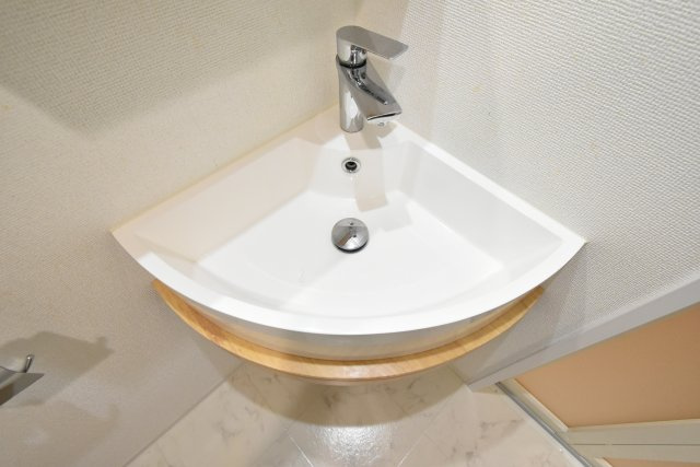 ラシーヌ天王寺南の洗面所