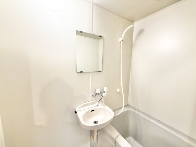 ヴァルキューレ大日の洗面所