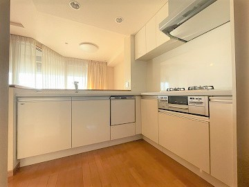 ロイヤルガーデン城西第2のキッチン