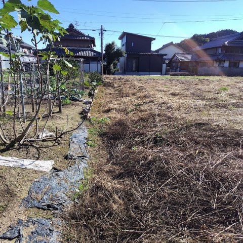 ６４３２５　岐阜市太郎丸知之道土地の外観