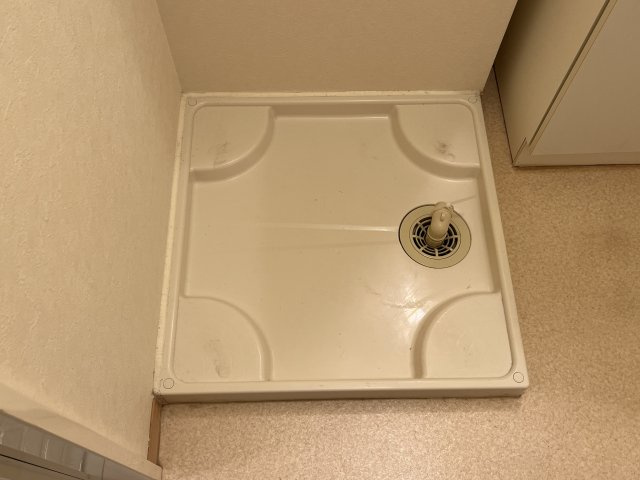 グレイスのその他