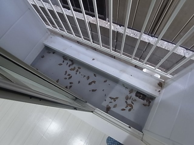 神戸市兵庫区小山町のアパートのバルコニー