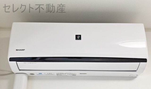 アムール千原のその他