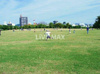 梅小路公園（501m） 