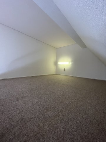 【その他】 | SEIKA別府 | ロフト