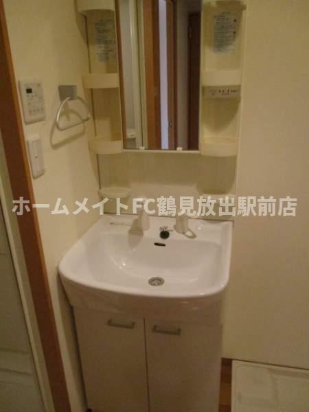 東大阪市高井田中４丁目の賃貸マンションの独立洗面台