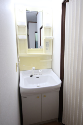 忙しい朝も嬉しいシャワー付き洗面台