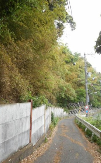 【前面道路含む現地写真】 | 名谷町字加市　土地