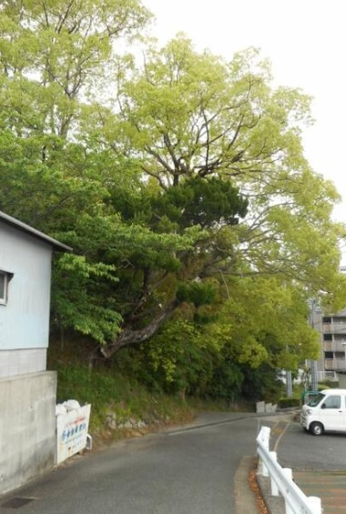 名谷町字加市　土地の前面道路含む現地写真
