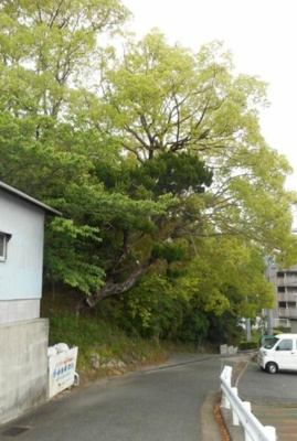 【前面道路含む現地写真】 | 名谷町字加市　土地