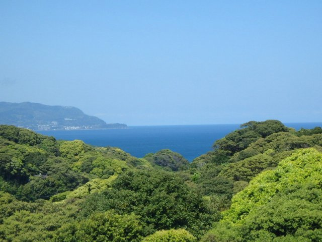 S1655M　アーバンヒルズ下田リゾートの展望